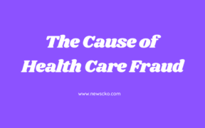 The Cause of Health Care Fraud